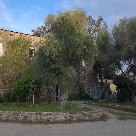 Domaine Ostriconi Bed & Breakfast Palasca  Dış mekan fotoğraf